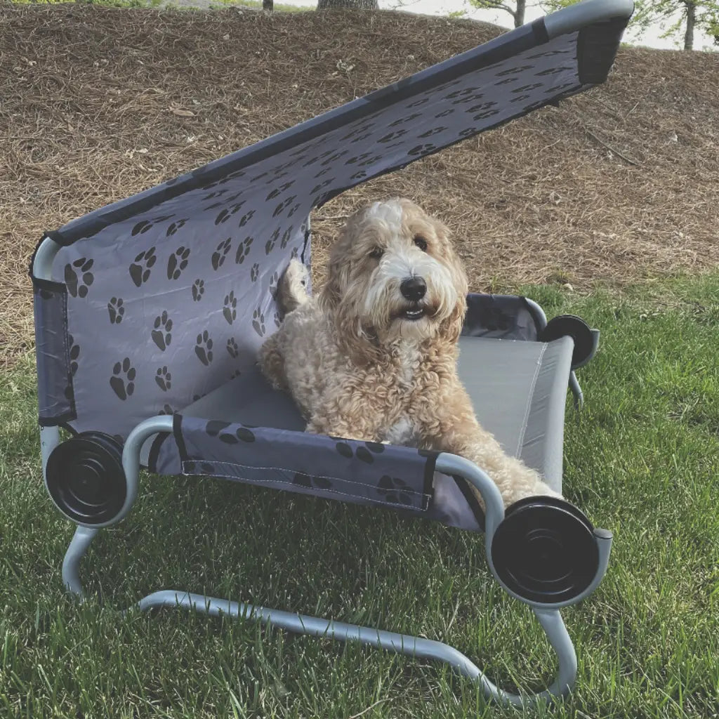 Disc-O-Bed Dog Bed (Large)