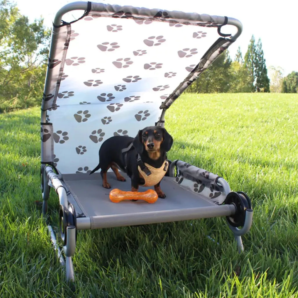Disc-O-Bed Dog Bed (Small)