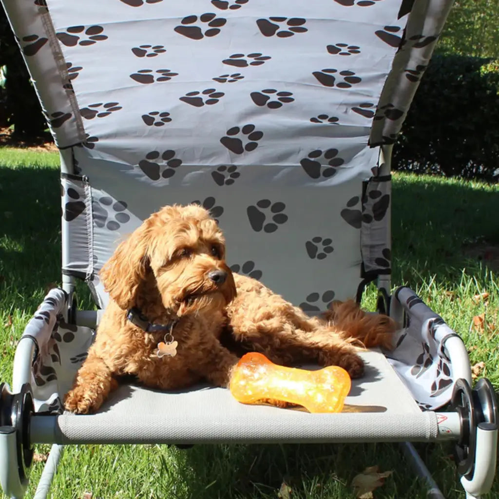 Disc-O-Bed Dog Bed (Small)
