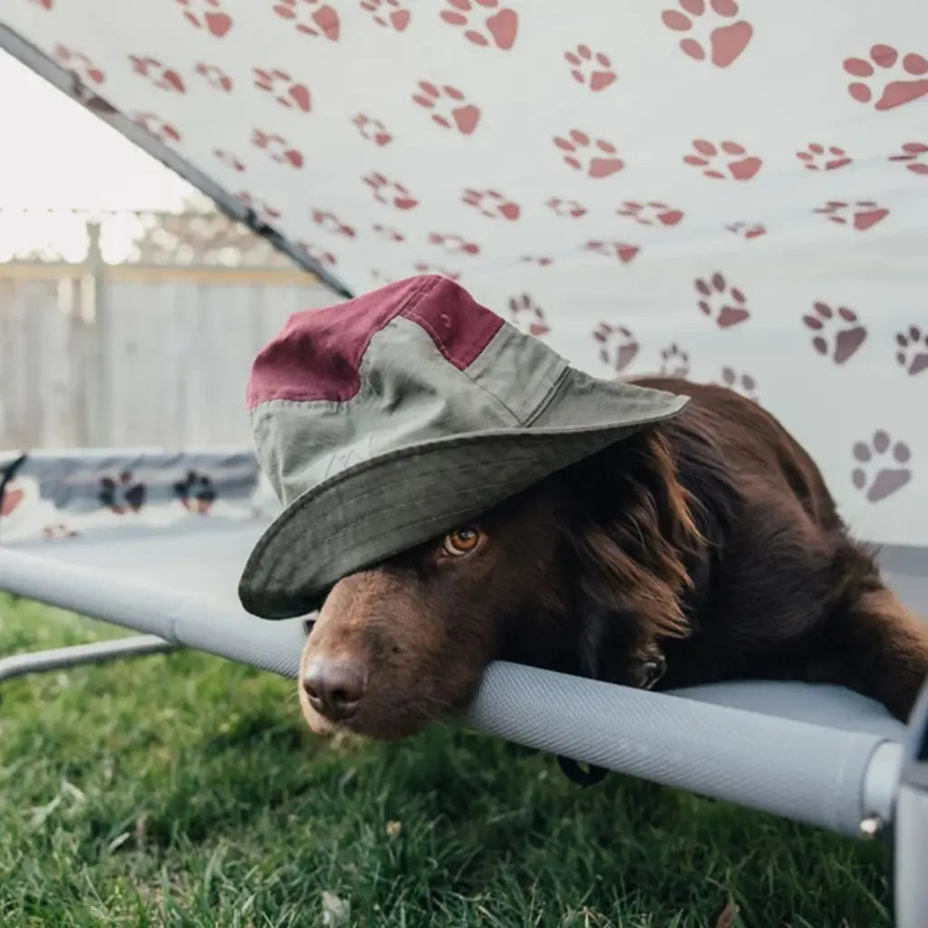 Disc-O-Bed Dog Bed (Large)