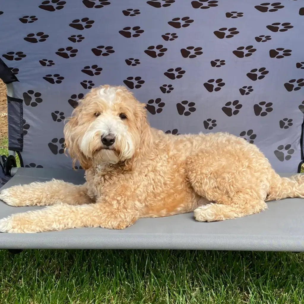 Disc-O-Bed Dog Bed (Large)