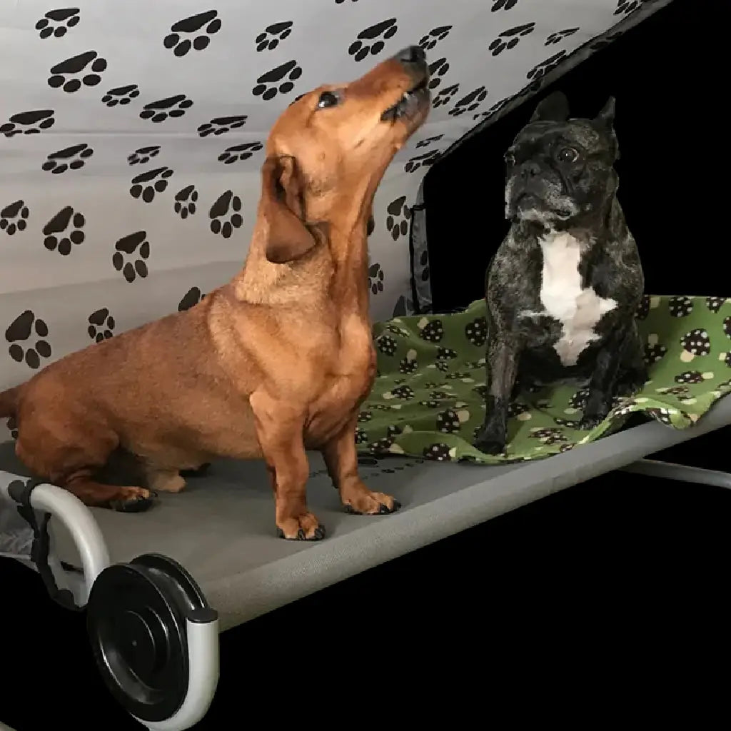 Disc-O-Bed Dog Bed (Large)